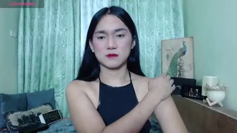 Ahmri online show from January 2025 12:56:01 PM