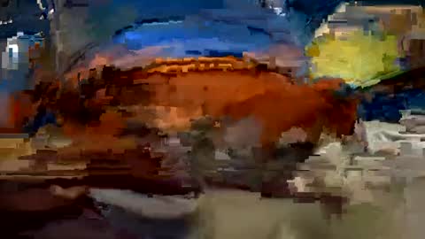 Snapshot of aj297914 chatting on October 2025 03:34:02 AM aj297914 online show from October 2025 03:34:02 AM