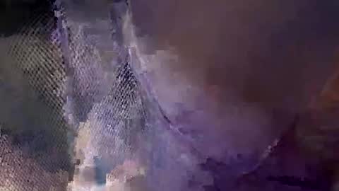 Snapshot of aj297914 chatting on October 2025 05:54:02 AM aj297914 online show from October 2025 05:54:02 AM