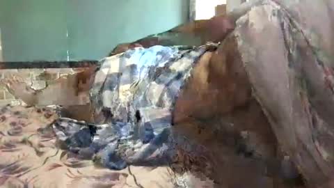 BigHairyGuy online show from December 2024 06:32:02 AM