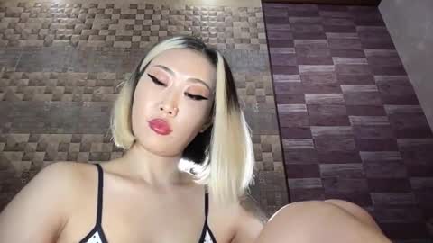 Snapshot of akemi_jp chatting on February 2026 12:27:02 AM Akemi online show from February 2026 12:27:02 AM