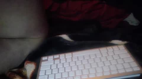 aken4it online show from October 2025 07:27:01 PM