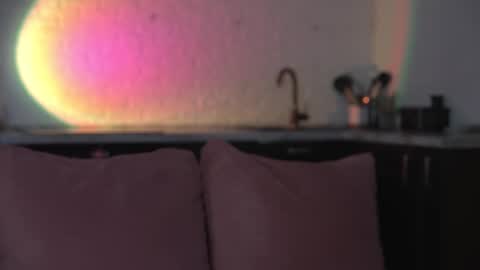 Snapshot of al1ce_fox chatting on November 2025 06:40:02 PM Alice and Nate online show from November 2025 06:40:02 PM