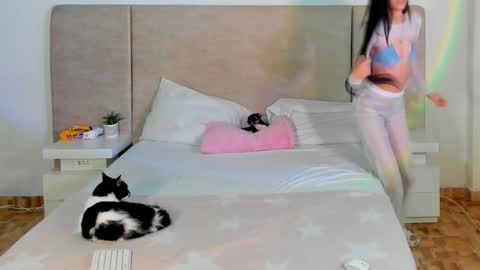             online show from October 2025 07:38:01 PM