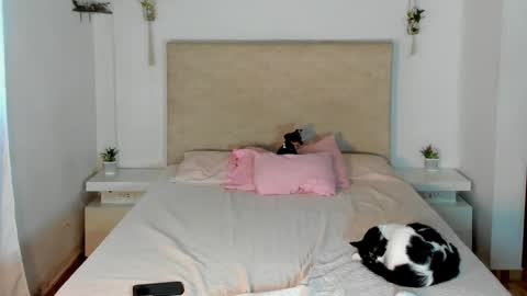             online show from March 2026 02:22:02 PM