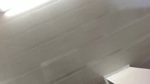 Snapshot of alana_madison chatting on December 2024 10:45:02 AM Maeve online show from December 2024 10:45:02 AM