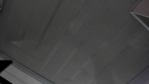 Snapshot of alana_madison chatting on February 2025 04:56:02 PM Maeve online show from February 2025 04:56:02 PM