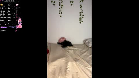 Snapshot of alaska_drew chatting on February 2025 11:08:02 AM Alaska online show from February 2025 11:08:02 AM