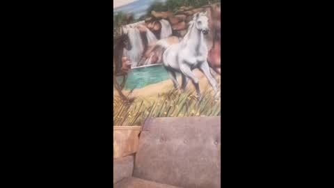 albina online show from February 2026 08:23:02 AM