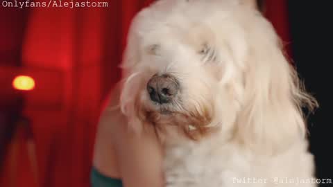 Alejandra online show from February 2026 01:15:02 AM