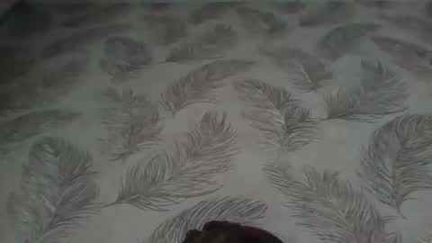 Aletta Oushen online show from January 2025 11:17:02 AM