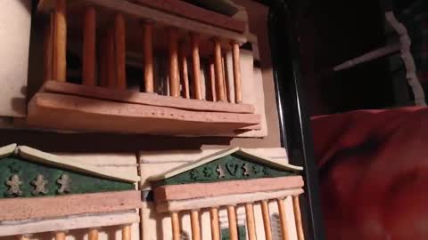 Alex Amazing online show from January 2025 09:08:02 PM