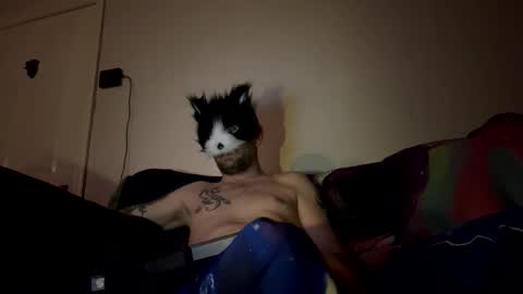 Snapshot of alex_essex69 chatting on February 2026 12:42:02 AM alex_essex69 online show from February 2026 12:42:02 AM