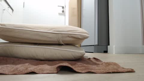 Nicha online show from October 2025 03:20:01 AM