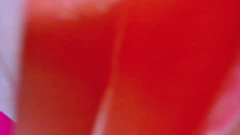 ALEXANDRA online show from February 2025 08:02:02 AM