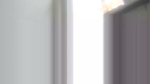 Snapshot of alexdutrow75 chatting on November 2025 01:53:02 PM JamesB online show from November 2025 01:53:02 PM