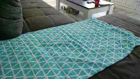 Snapshot of alexfresh84 chatting on December 2024 11:49:02 AM Doggystyle online show from December 2024 11:49:02 AM