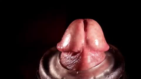 Snapshot of alexhoward chatting on March 2026 06:19:01 AM alexhoward online show from March 2026 06:19:01 AM