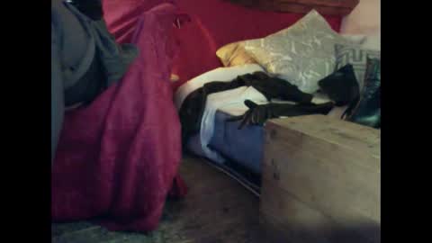 alexischat online show from September 2025 04:16:01 AM