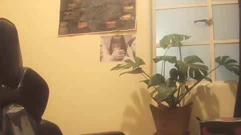 Alexxx online show from May 2026 04:07:02 AM