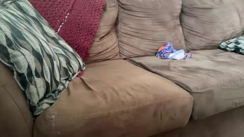 alexp_115 online show from May 2026 10:08:02 PM