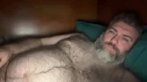 Snapshot of alfali chatting on February 2026 10:06:01 PM alfali online show from February 2026 10:06:01 PM