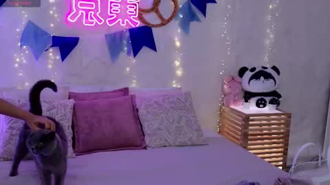 Snapshot of alice_charmy chatting on September 2025 05:23:01 AM Alice in Wonderland online show from September 2025 05:23:01 AM