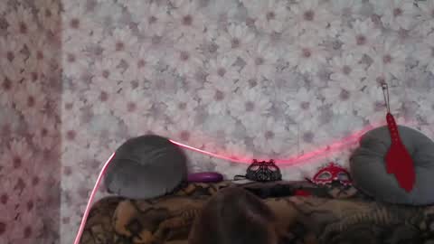 Snapshot of alice_longstocking chatting on May 2026 02:33:01 PM alice longstocking online show from May 2026 02:33:01 PM