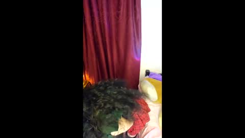 Snapshot of alicekingdom chatting on February 2026 12:03:01 AM Alicekingdom online show from February 2026 12:03:01 AM