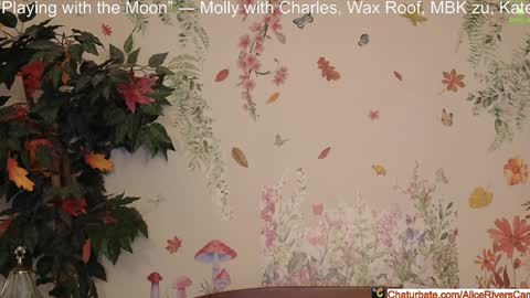 Snapshot of aliceriverscam chatting on January 2025 09:31:01 PM Alice Rivers ---- Enter my public Discord- online show from January 2025 09:31:01 PM