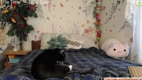 Snapshot of aliceriverscam chatting on January 2025 08:40:02 PM Alice Rivers ---- Enter my public Discord- online show from January 2025 08:40:02 PM