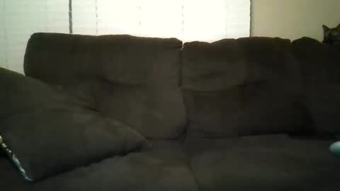 Snapshot of aliendick2274 chatting on February 2026 08:23:02 AM aliendick2274 online show from February 2026 08:23:02 AM