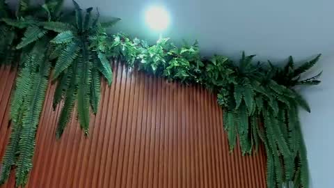 Alice online show from May 2026 01:07:02 PM