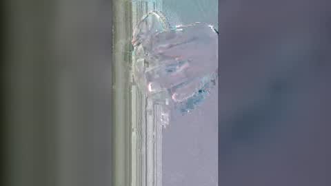 Snapshot of alisherof chatting on January 2026 11:15:02 AM alisherof online show from January 2026 11:15:02 AM