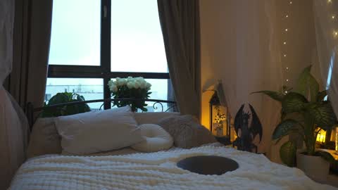 Alissa online show from January 2025 06:49:02 AM