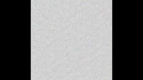 Alisse online show from October 2025 12:03:01 PM