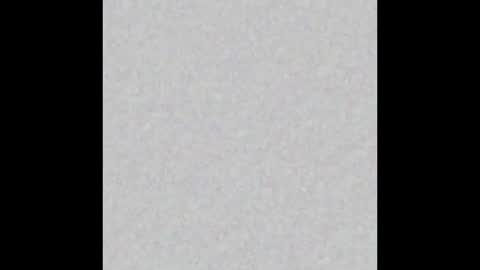 Alisse online show from February 2026 12:10:02 PM