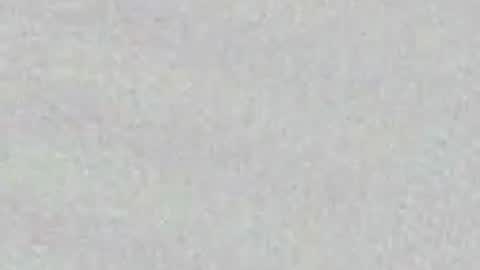 Alisse online show from May 2026 12:21:01 PM
