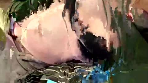 all_m3 online show from January 2026 11:09:01 PM