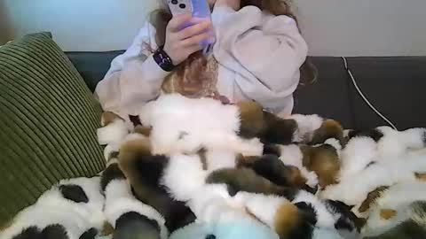 alliebearx online show from April 2026 03:49:02 PM