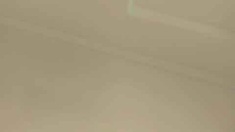    online show from December 2025 10:33:01 AM