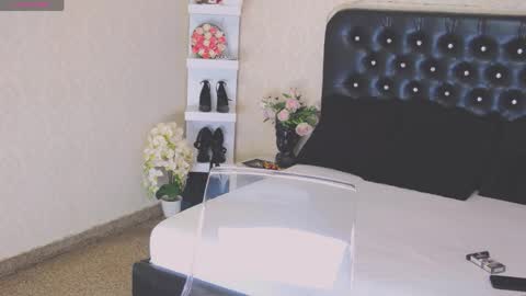 Deea online show from May 2026 01:08:01 PM