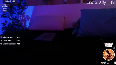 Snapshot of ally_addams chatting on December 2024 09:53:02 AM Ally online show from December 2024 09:53:02 AM