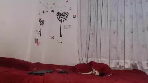 Snapshot of allyka_transsm chatting on December 2025 04:20:03 AM Allyka online show from December 2025 04:20:03 AM