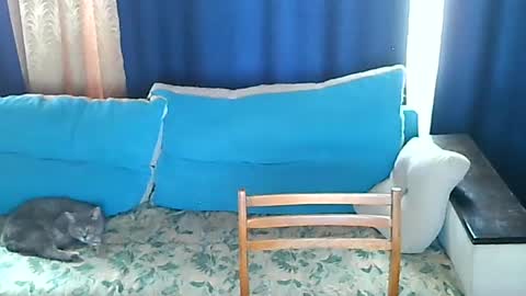 Snapshot of almirsex chatting on June 2026 09:15:01 AM almirsex online show from June 2026 09:15:01 AM