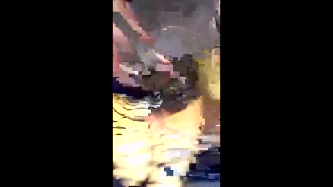 alwayshard22221981 online show from February 2026 04:25:01 PM