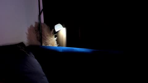 Snapshot of alyssensual chatting on December 2024 11:08:01 PM Alyssa I will be online December 2 at 2000 UTC online show from December 2024 11:08:01 PM