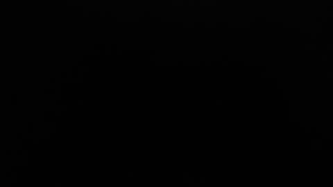 Amarantha online show from January 2025 01:16:02 PM