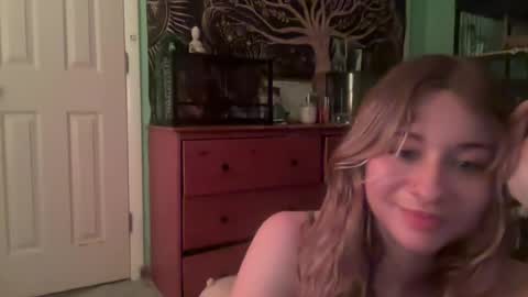 AmberHeart online show from July 2026 10:39:01 AM