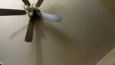 amberkni online show from March 2026 07:45:02 AM